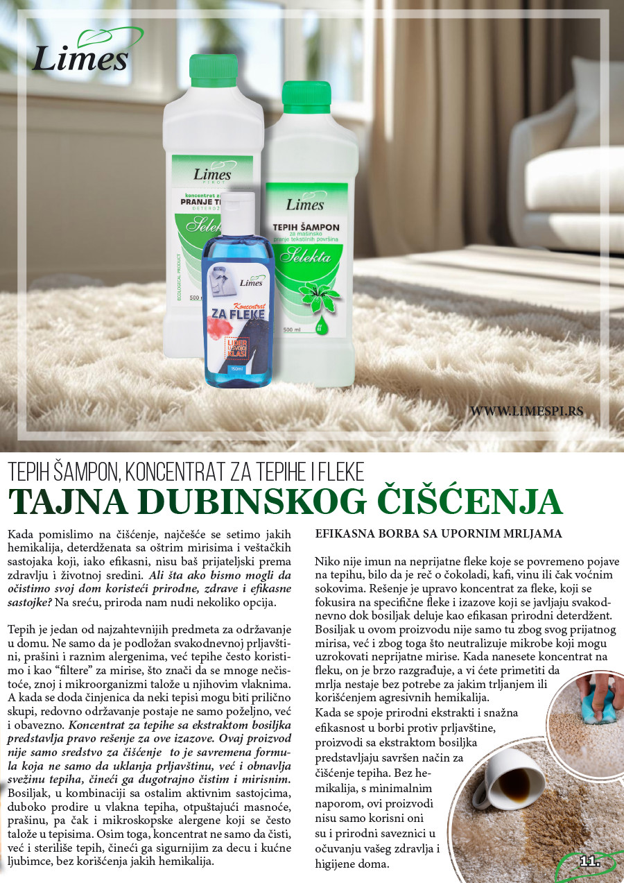 Strana 11